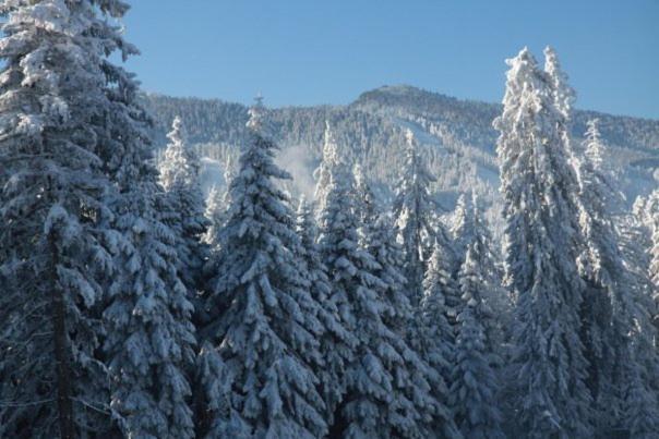 Aparthotel Borovets Gardens Exteriör bild
