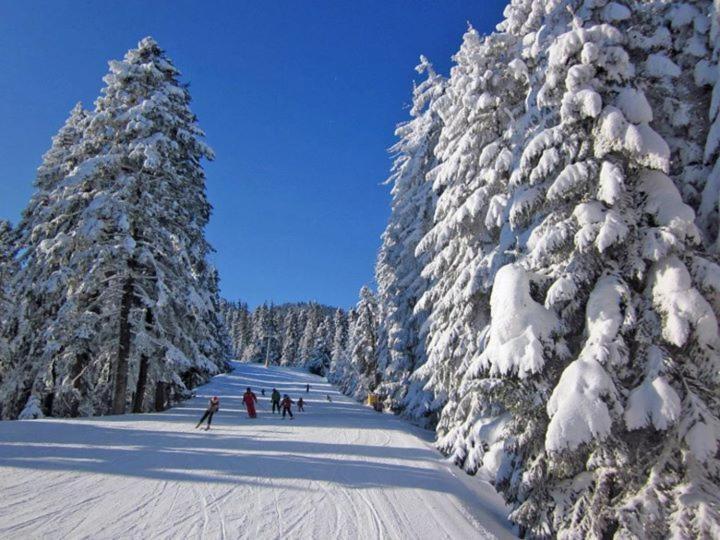 Aparthotel Borovets Gardens Exteriör bild